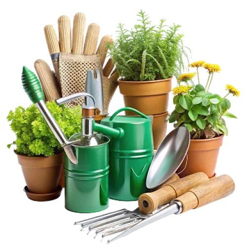 Landscaping & Outdoor